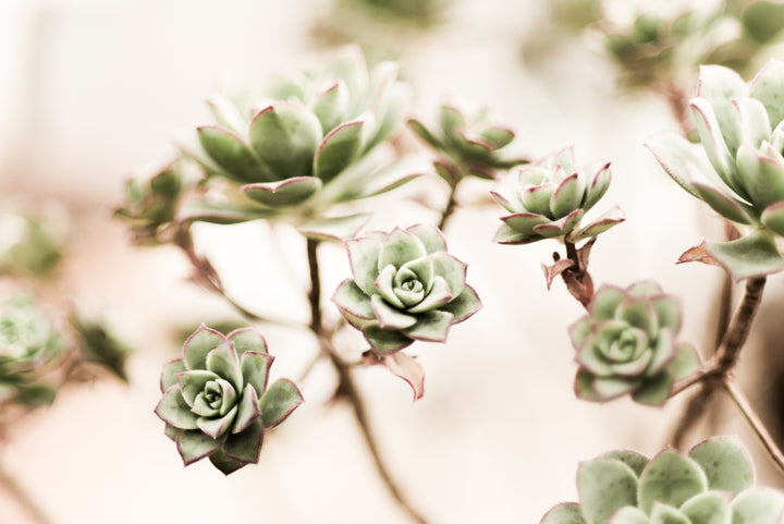 On Being Present