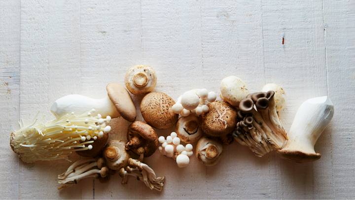 Food From the Forest: An Exploration in Mushroom Foraging