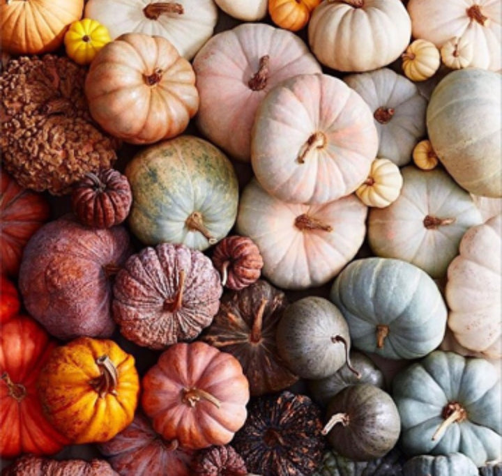 Our Favourite Fall Teas