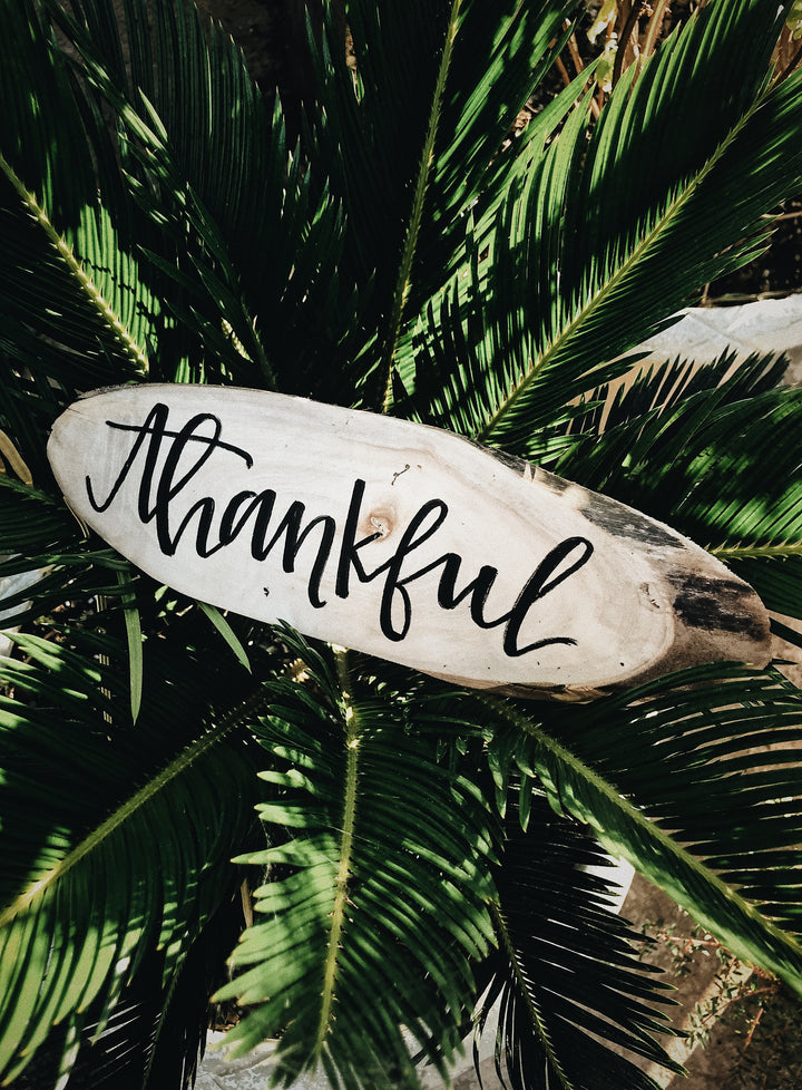 The Practice Of Gratitude