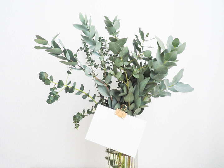 Featured Retailer: Well.ca