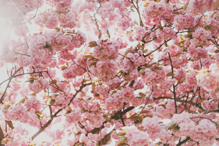 Featured Retailer: Carbon Environmental Boutique